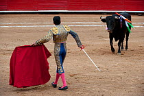 Matador holding sword uses red cloak to challenge bull in later stages of bullfight, Plaza de Toros, Mexico City, Mexico