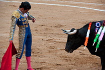 Matador uses red cloak to challenge bull in later stages of bullfight, Plaza de Toros, Mexico City, Mexico