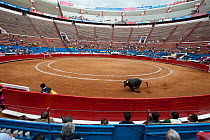 Bull charging Matador in bullring, Plaza de Toros, Mexico City, Mexico