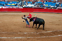 Matador challenging bull with red cloak, about to pierce bull between the shoulder blades, Plaza de Toros, Mexico City, Mexico