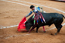 Matador challenges bull with red cloak in final stages of bullfight, Plaza de Toros, Mexico City, Mexico