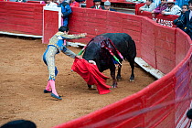 Matador challenging bull with red cloak, and piercing bull between the shoulder blades, Plaza de Toros, Mexico City, Mexico