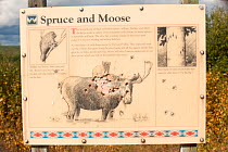 Information sign about Spruce and Moose used as gun target practice in Stone Mountain area of British Columbia, Canada