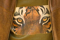 Tiger face on shirt, India {Panthera tigris tigris}