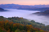 Rural landscape at dawn with low lying mist in valley, near Zarnesti, Transylvania, Southern Carpathian Mountains, Romania, October 2008