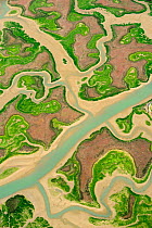Aerial view of marshes at low tide, Baha de Cdiz Natural Park, Cdiz, Andalusia, Spain, February 2009