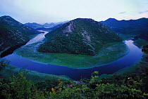 River Crnojevica with a central channel between aquatic plants, flowing round Pavlova Strana, at dawn, Lake Skadar National Park, Montenegro, August 2006