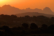 Granite hills at sunrise, Sardinia, Italy, June 2008