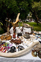 Market stall in the main Plaza, illegally selling whalebone and turtles. Punta Arenas, Chile, January 2006.