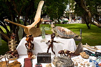 Market stall in the main Plaza, illegally selling whalebone and turtles. Punta Arenas, Chile, January 2006.