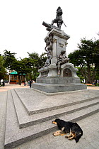 Dog sleeping by statue in Plaza Muoz Gamero. Punta Arenas, Chile, January 2006.