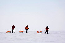 Adventurers practising for their 'Last Degree' expedition to the South Pole. Antarctica, January 2006.