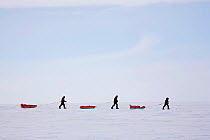 Adventurers dragging their equipment on a practise for their 'Last Degree' expedition to the South Pole. Antarctica, January 2006.