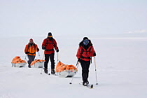 Adventurers dragging pulks as they practise for their 'Last Degree' expedition to the South Pole. Antarctica, January 2006.