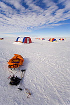 Empty pulk with harness and ski poles at the Patriot Hills Camp. West Antarctica, January 2006.