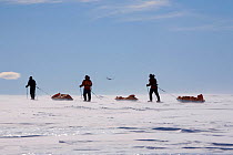 Adventurers dragging their equipment as they practise for skiing the 'Last Degree' to the South Pole, Patriot Hills, Antarctica, January 2006.