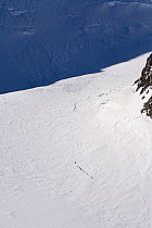 Two groups of climbers making their way from High Camp towards the Summit of Mount Vinson. Antarctica, January 2006.