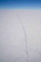 Tracks left by the the Chilean Traverse, pulled by the Camoplast, to survey the Ellsworth under ice Lake. Antarctica, January 2006.
