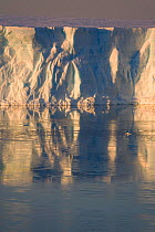 Iceberg and grease ice reflecting in the Weddell Sea at sunset. Antarctica, October 2006.