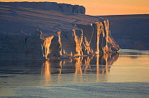 Iceberg and grease ice reflecting in the Weddell Sea at sunset. Antarctica, October 2006.