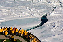 Passengers on the bows of the "Kapitan Khlebnikov" watching the ship break ice. Weddell Sea. Antarctica, October 2006.
