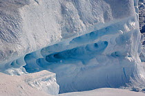 Detail of ice on the side of an iceberg showing holes in a softer layer of ice. Antarctica, October 2006.