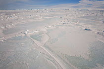 Refrozen crack and small pressure ridges in the sea ice in Erebus and Terror Gulf, Antarctica, October 2006.