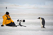 Photographer with telephoto lens on tripod waiting for Emperor penguin (Aptenodytes forsteri) to move further away. Snow Hill Island, Antarctica, October.