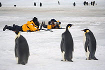 Photographers with long lenses and tripods photograph Emperor penguins (Aptenodytes forsteri) at Snow Hill Island, Antarctica, October.
