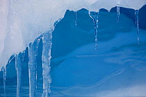 Icicles hanging from a ledge on an iceberg, Antarctica, October 2006.
