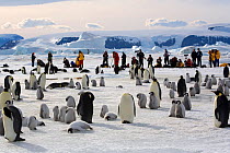 Emperor penguin (Aptenodytes forsteri) colony and visitors taking photographs against backdrop of James Ross Island. Snow Hill Island colony, Antarctica, October 2006.