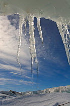Icicles hanging from an undercut iceberg by the shore of Snow Hill Island, Antarctica, October 2006.