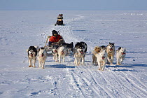 Inuit youth driving dogs on the ice while his parents ride the snowmobile behind. Igloolik, Nunavut, Canada, April 2008.