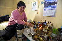 An elderly Inuit woman tending the flame of a Qulliq (seal oil lamp). Igloolik, Nunavut, Canada, April 2008.