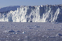 Small pieces of brash ice cover the surface of the water by the Rolige Brae, evidence of recent activity. East Greenland, September 2005.