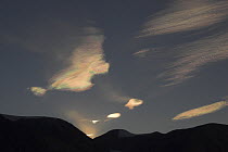 Nacreous / polar stratospheric clouds. Believed to be ice and Nitric acid, these react to produce clorine & bromine, from CFCs, which directly destroy ozone molecules. East Greenland, September 2005.