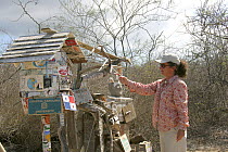 Visitors check where others have decorated the mail barrel at Post Office Bay, Floreana, Galapagos Islands, January 2005.