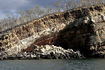 Clearly visible volcanic layers exposed on a small island near Isabela. Galapagos Islands, January 2005.