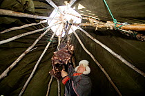 Saami herder hanging Reindeer (Rangifer tarandus) meat above a fire in his lavo (tent) to smoke it. Kautokeino, Finnmark, North Norway, March 2007.