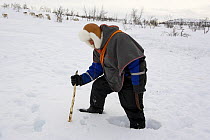 Saami reindeer herder using a stick to probe through the snow in order to check if winter pastures have iced over. Kautokeino, Finnmark, North Norway, March 2007.