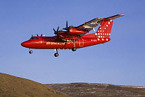 Air Greenland Dash-7 plane preparing to land at Qaanaaq. Northwest Greenland, September 2008.