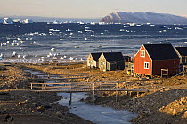 Houses in the Inuit community of Qaanaaq, on the shore of Inglefield Bay in Autumn. Northwest Greenland, September 2008.