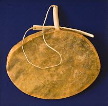 Inuit drum made from sealskin and used for traditional drum dances. Qaanaaq, Northwest Greenland, September 2008.