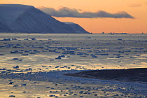Icebergs and small pieces of glacial ice floating in Inglefield Bay at sunset. Northwest Greenland, September 2008.