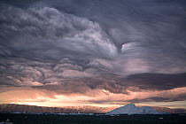 Dramatic 'Undulatus asperatus' cloud formation as a storm builds at dawn over Qaanaaq, Inglefield Bay. Northwest Greenland, September 2008. This cloud formation was first proposed as a new type of clo...