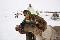 Nenets woman feeding bread to one of her avkas /pet reindeer (Rangifer tarandus). Yamal, Northwest Siberia, Russia, February 2007. Editorial use only.