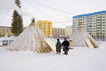 Traditional Nenets reindeer skin tents put up in the town of Nadym as part of a reindeer herding festival. Yamal, NW Siberia, Russia, February 2007.