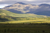 View across the Bolshaia Paipudyna Valley in the Polar Ural Mountains. Yamal, Western Siberia, Russia, Summer 2007.