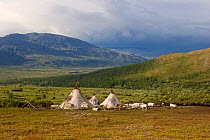 Khanty reindeer herders' camp at summer pastures in the Polar Ural Moutains. Yamal, Western Siberia, Russia, Summer 2007.