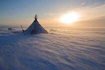 Nenets reindeer herder's camp on the tundra during a winter storm. Yamal Peninsula, Western Siberia, Russia, August 2008.